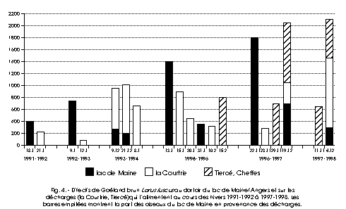 Fig. 4. Effectifs de Goéland brun aux dortoirs des lac de Maine et de Tiercé en Maine-et-Loire