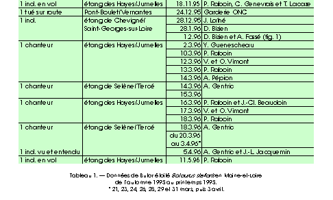 données Butor étoilé 1995-1996 Maine-et-Loire