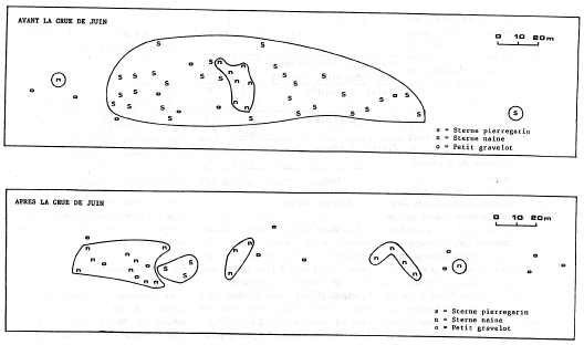 Fig. 3. Emplacement des couveurs en 1987.