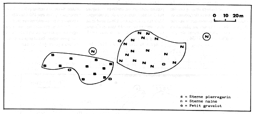 Fig. 4. Emplacement des couveurs en 1988.