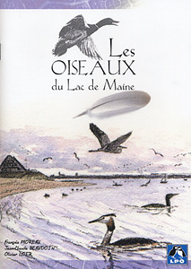 Les oiseaux de l'île de Parnay sur la Loire par Victor LERAY